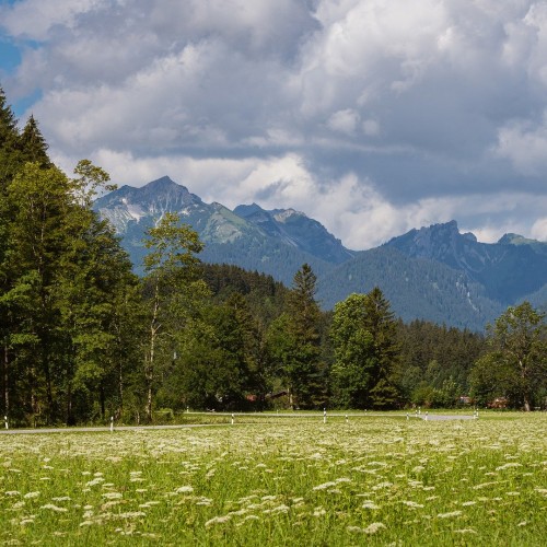 landscape-5405932_1920