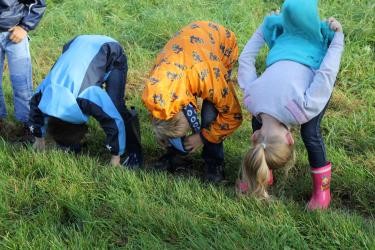 Drei Kinder stehen im Gras und beugen sich kopfüber vor