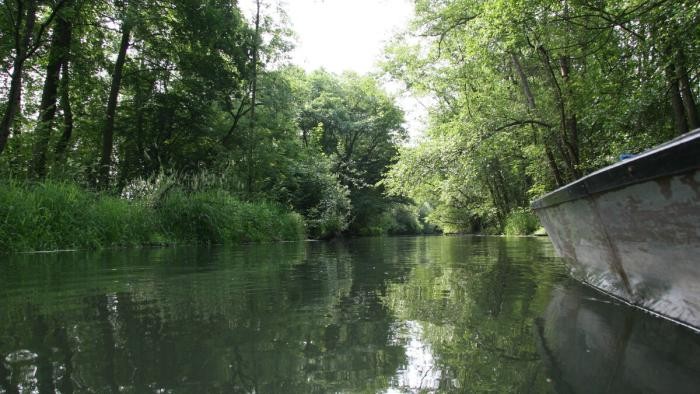 Taubergießen Bootsfahrt