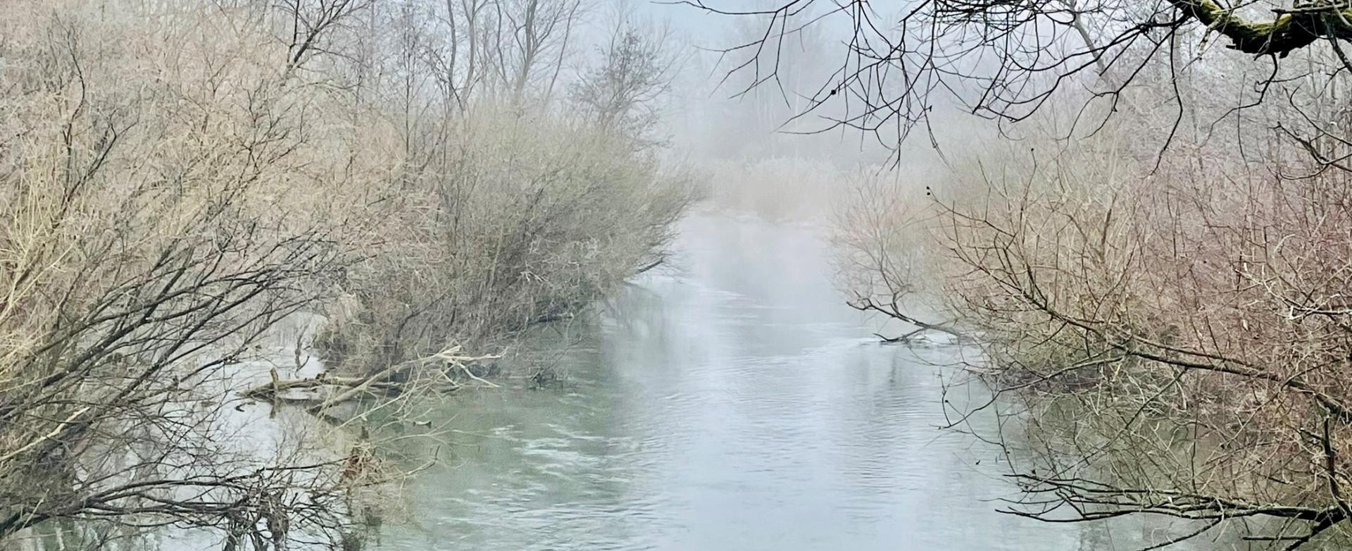 Taubergießen im Winter Winteratmosphäre im Taubergießen