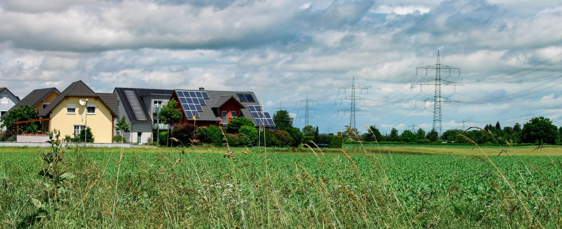 Blick auf Häuser mit Photovoltaikanlagen auf dem Dach, rechts daneben wogen Gräser, im Hintergrund Strommasten
