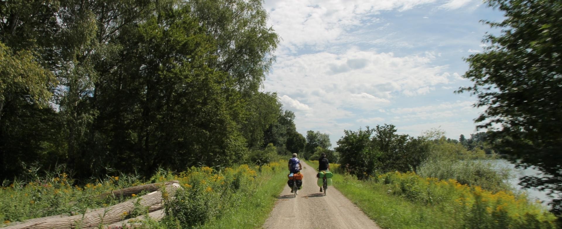 Radfahren zwei Fahrradfahrer fahren auf einem Schotterweg, rechts daneben sieht man ein bisschen Fluss, links eine Baumreihe