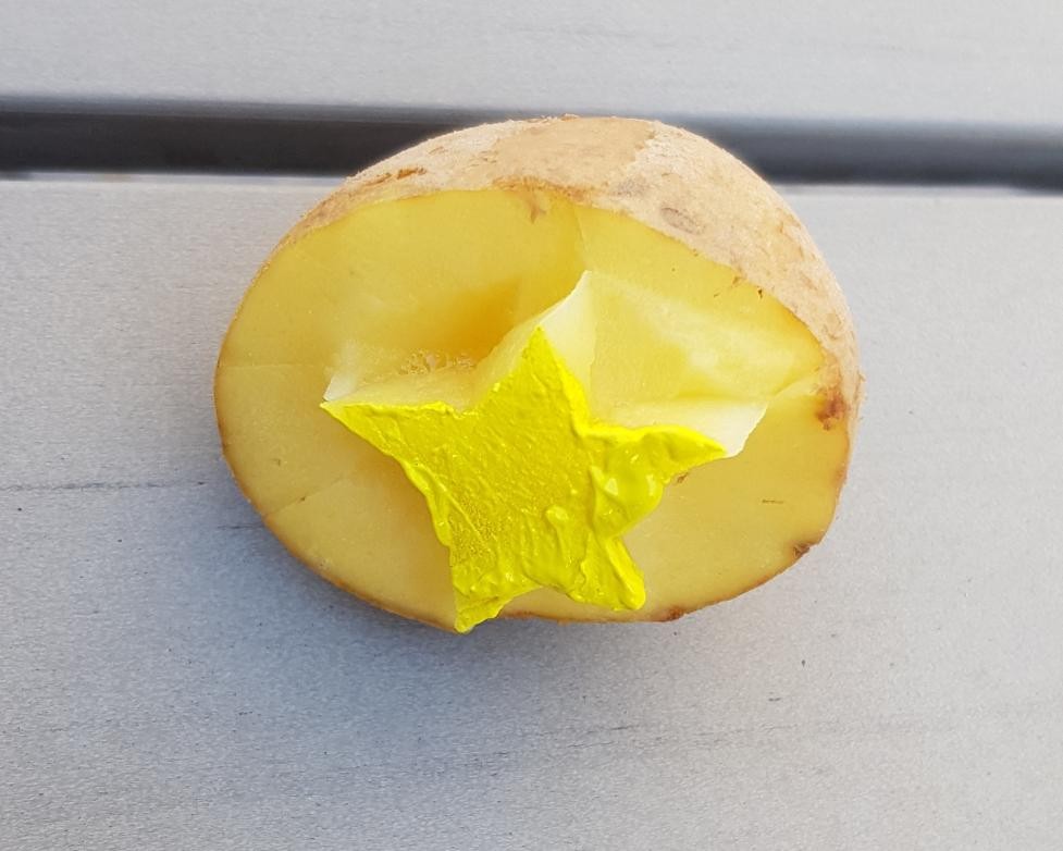 Kartoffelhälfte mit gelber Farbe auf der Stempelform