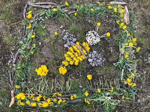 Verschiedene Blumen, Gräser und andere Naturmaterialien liegen in einem Quadrat zusammen, in der Mitte ergeben sie eine Biene