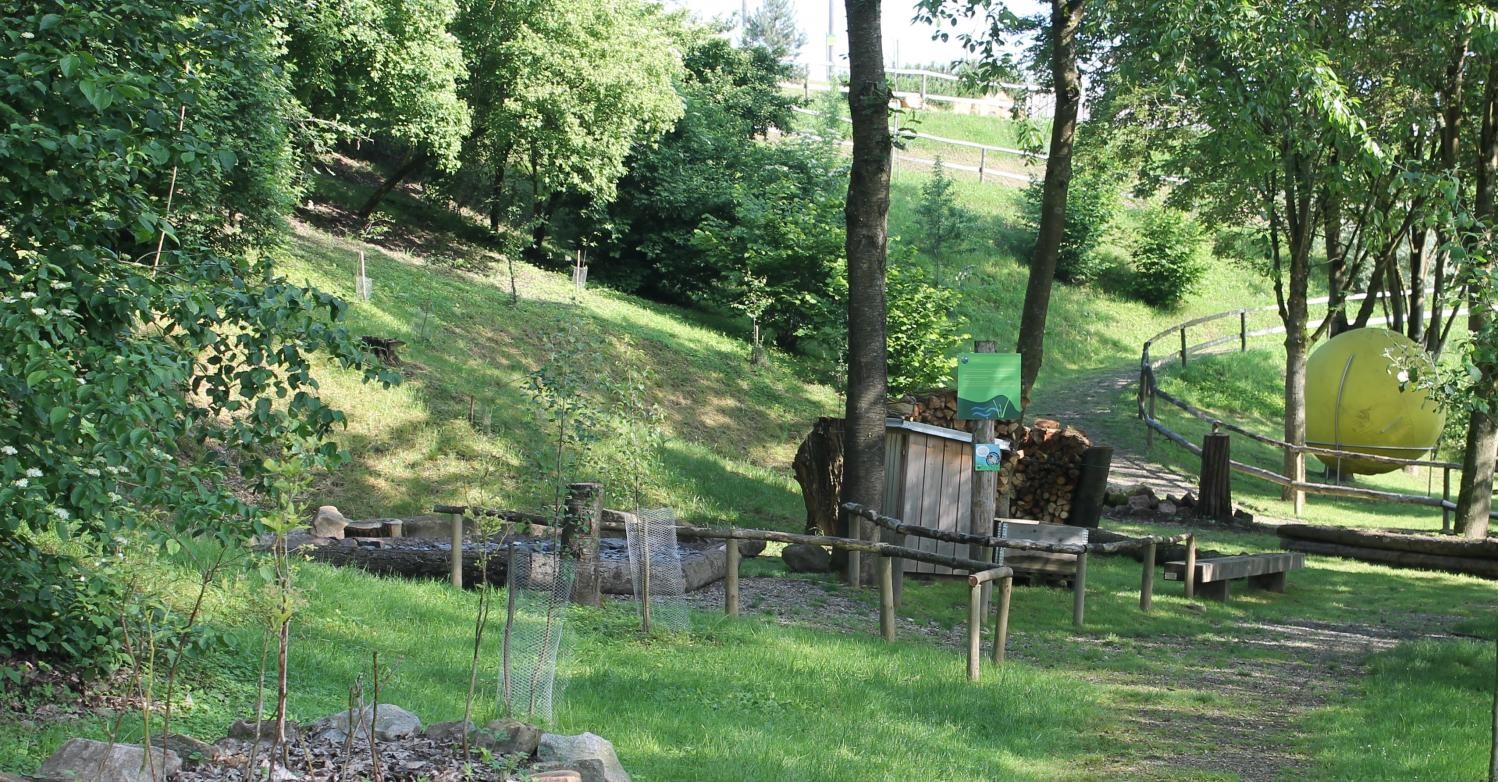 Blick in den Klimawandelgarten, links das Schieferfeld, im Hintergrund ein Teil der Murmelbahn