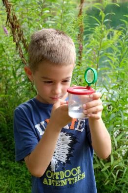 Junge betrachtet Inhalt einer Becherlupe, die er in Höhe seines Gesichtes hält