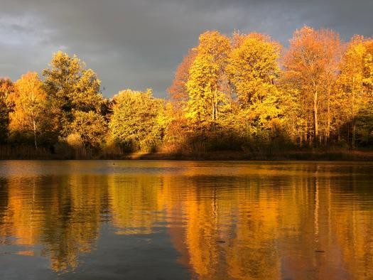 Bäume im Herbst rund um den Allmendsee