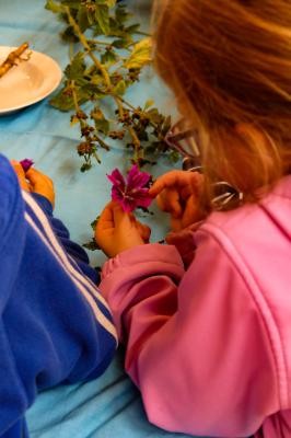 Mädchen befühlt Blume Mädchen befühlt Blume