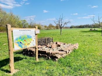 Infotafel neben Steinbiotop Infotafel neben Steinbiotop auf einer Wiese, vereinzelt stehen kahle Obstbäume darauf