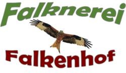 Logo Falknerei, oben steht in grüner Schrift "Falknerei", unten in roter "Falkenhof", dazwischen ist die Abbildung eine Milans